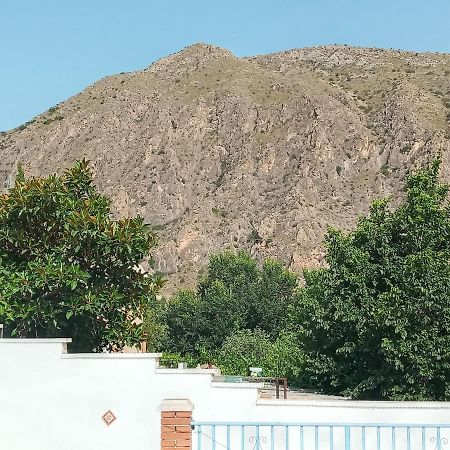 Recovery Mountain Homestay Alicante Dış mekan fotoğraf