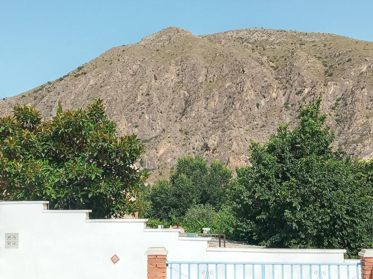 Recovery Mountain Homestay Alicante Dış mekan fotoğraf